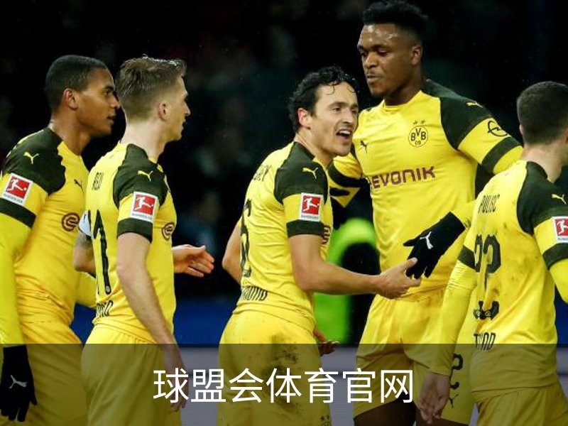 球盟会体育官网品牌故事